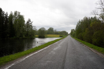 Fototapeta premium wet rainy road where trees grow along the edges and there is a pond
