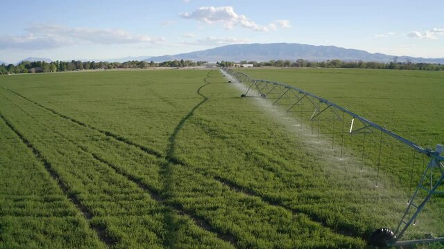 Aerial Shot Over Large Field With Sprinklers Watering Crops