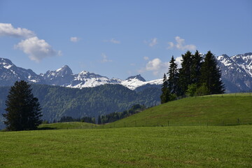 Fototapeta na wymiar Allgäu bei Eisenberg mit Wiesen, Bäumen, Bergen, Sonnenstern und blauem Himmel im Sommer