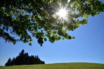 Allgäu bei Eisenberg mit Wiesen, Bäumen, Bergen, Sonnenstern und blauem Himmel im Sommer