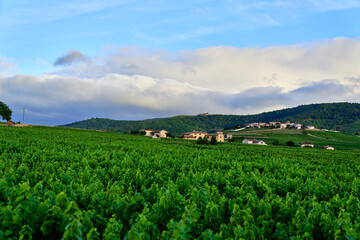 Fototapeta na wymiar Nuages sur les monts du Beaujolais
