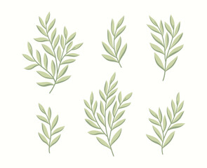 Fototapeta na wymiar Set of vector floral elements. Hand drawn leaves isolated. Botanical illustration for decoration, print design.