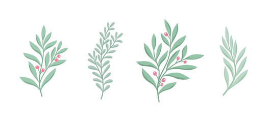 Set of vector floral elements. Hand drawn leaves isolated. Botanical illustration for decoration, print design.