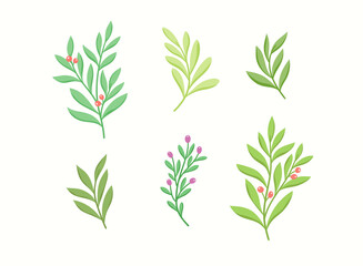 Obraz premium Set of vector floral elements. Hand drawn leaves isolated. Botanical illustration for decoration, print design.