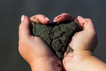 Black wet sand in white hands in the form of a heart, Pemuteran beach, north part of Bali island,...