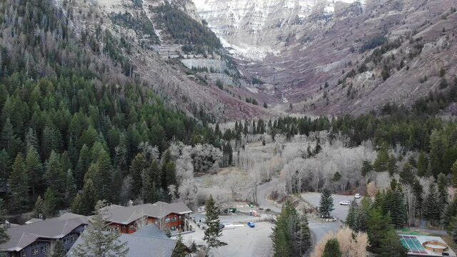 Aspen grove in Utah