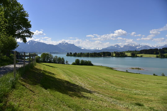 Roßhaupten Bilder Durchsuchen 289 Archivfotos, und