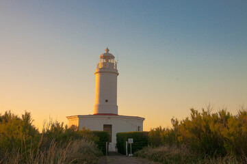 lighthouse on a hill	