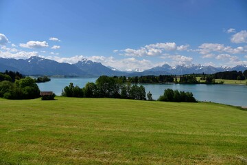 Forggensee im Allgäu mit Bergen im Sommer