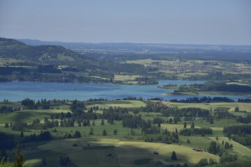 Fototapeta na wymiar Forggensee im Allgäu mit Bergen im Sommer
