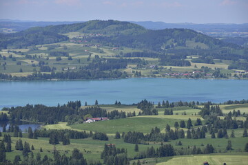 Forggensee im Allgäu mit Bergen im Sommer