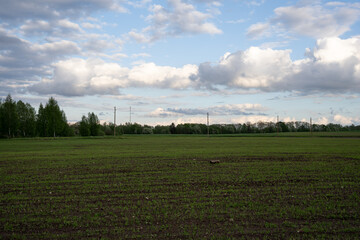 a large grain sweeps with a blue sky and white fluffy clouds