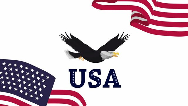 united states of america flags and eagle flying