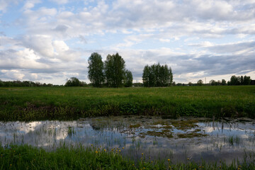 a pond surrounded by green grass and behind it is a beautiful blue sky with fluffy white clouds
