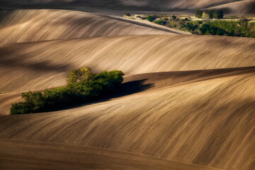 Moravian fields, Moravia, Czech Republic, around the village Kyjov © janmiko
