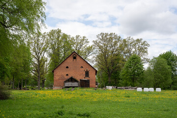 Fototapeta na wymiar country house made of red bricks with a meadow of flowering dandelions