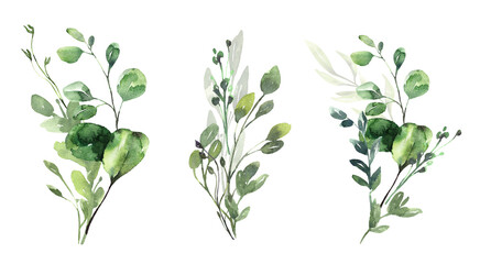 Watercolor floral illustration set - green eucalyptus leaf branches collection, for wedding invitation, greetings cards, wallpapers, background. Eucalyptus, green leaves. High quality illustration