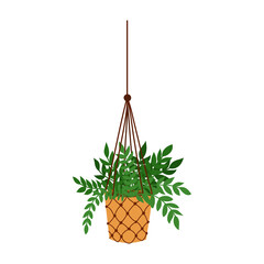 Flower in a macrame pot,modern Scandinavian style, interior decor. Hanging plants.