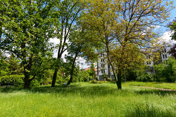 Goethepark in Emmendingen 