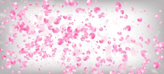 Rose Petals Falling Confetti. Beautiful Premium Magic Pattern.