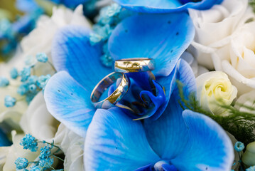 Wedding love golden rings on a blue orchidaceae, orchidea, orchid flower ready for the bride and groom. © Istak15