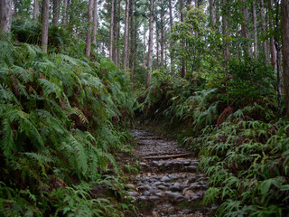 熊野古道