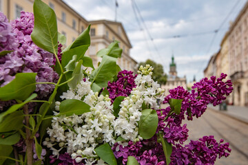 lilac bouquet on Lviv Market square