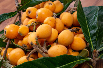 黄色いビワの実