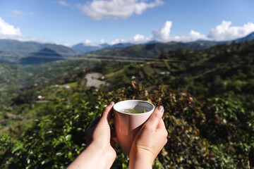 Woman hands holding a cup of tea with a beatiful and nature landscape views