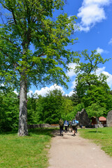 Obraz premium Wandern bei Waldkirch im baden-württembergischen Landkreis Emmendingen