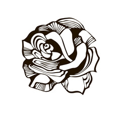 isolated element rose symbol logo ornament black and white vector