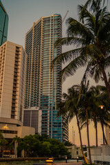 Fototapeta na wymiar country marina at sunset Miami Florida usa hotel buildings palms tropical urban 