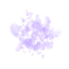 Violet flower petals falling down. Alive romantic