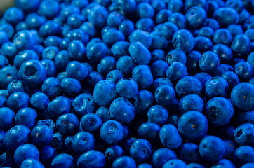 Blueberry