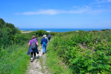 group of senior hikers on the path at 