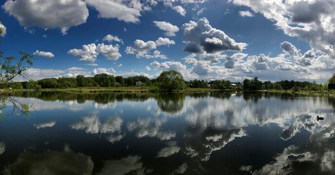 reflection of trees in the lake