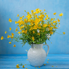 Bouquet yellow buttercups in a white jug, on a blue background