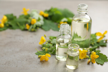 Bottles of natural celandine oil near flowers on grey stone table. Space for text