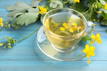 Glass cup of aromatic celandine tea and flowers on light blue wooden table, closeup