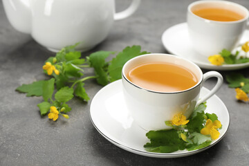 Cup of aromatic celandine tea and flowers on grey table