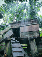 The traditional chicken coop in the countryside is made of wood and looks like a small house