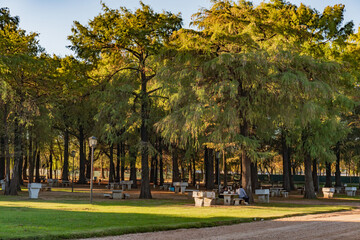 Naklejka premium Natural park in the middle of the city with lawns and large trees in Argentina