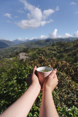 Woman hands holding a cup of tea with a beatiful and nature landscape views