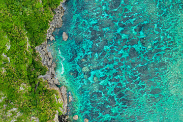 シンビジ（伊良部島）