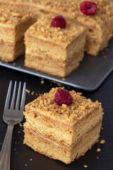 Homemade honey cake on slate background. Honeycomb with raspberry. Dark background. Selective focus.