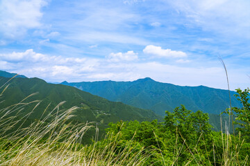 新緑の風景　浅間嶺からの景色　春