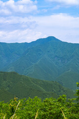 新緑の山　風景