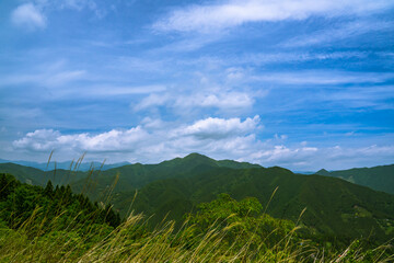 Fototapeta premium 新緑の山 風景