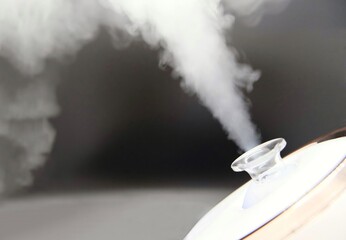 Facial steamer emitting hot steam for skin detoxification - obrazy, fototapety, plakaty