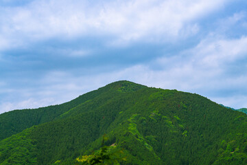 Fototapeta premium 初夏 青空 山